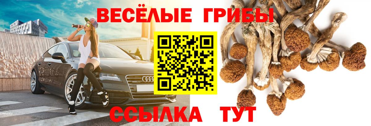 Галлюциногенные грибы Magic Shrooms Салават